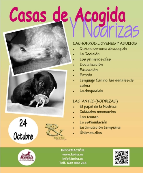 Taller de Casas de Acogida y Nodrizas, en Valencia, organizado por KOIRA Adiestramiento