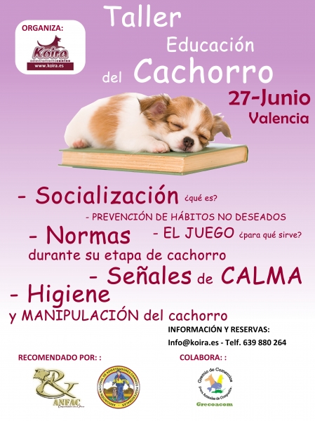 Taller de preadiestramiento en Cachorros, organizado por KOIRA Adiestramiento Canino