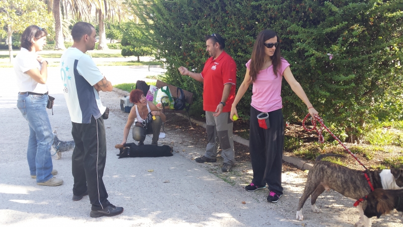 Curso de Educación Canina Básica, en KOIRA Adiestramiento Canino