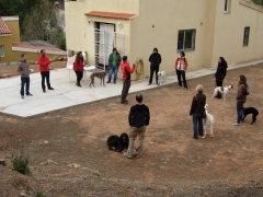 Curso de miedo, agresividad y estres, organizado por koira