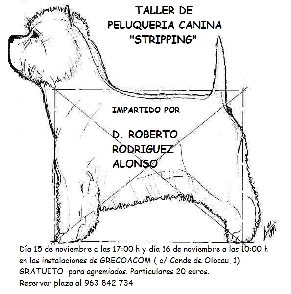 Taller de peluqueria canina y Stripping, en Valencia GRECOACOM