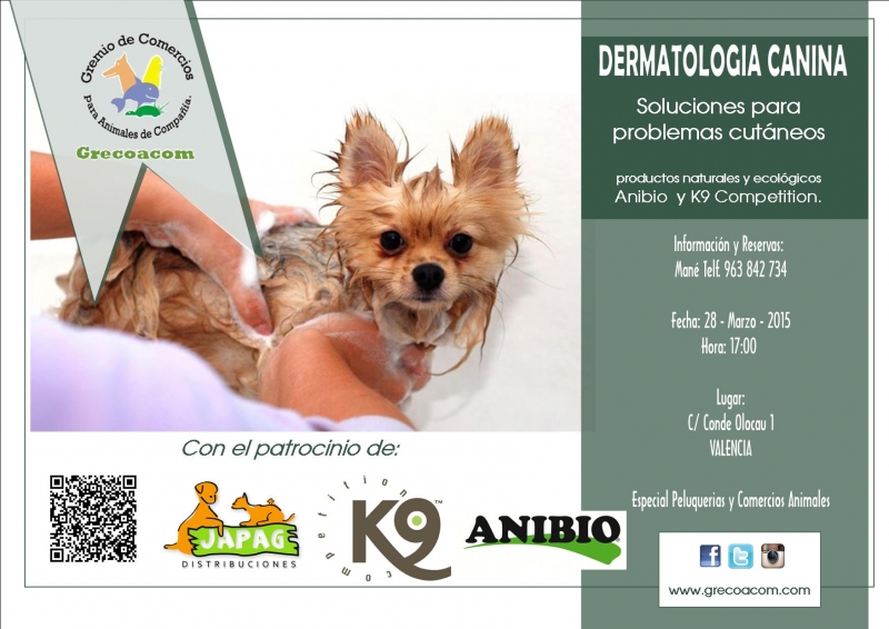 Taller de dermatologia canina, GRECOACOM Valencia