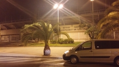 Foto 171 viajes en Valencia - Euro Taxi Eusebio