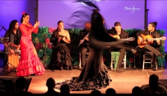 Clavel y flamenco