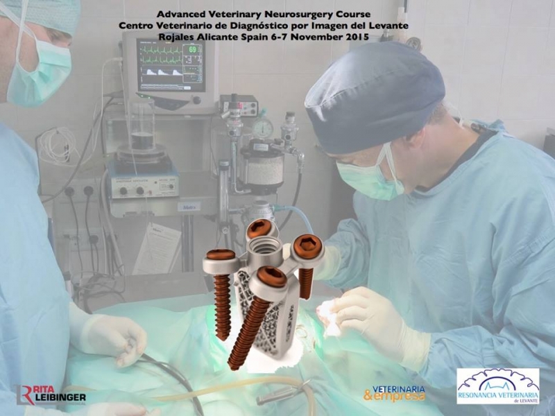 Advanced Neurosurgery Course - Curso de Neurocirugía Avanzada