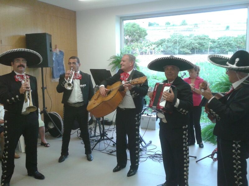 Orquestas, mariachis, grupos musicales