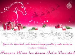 Feliz Navidad