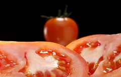 Tomates