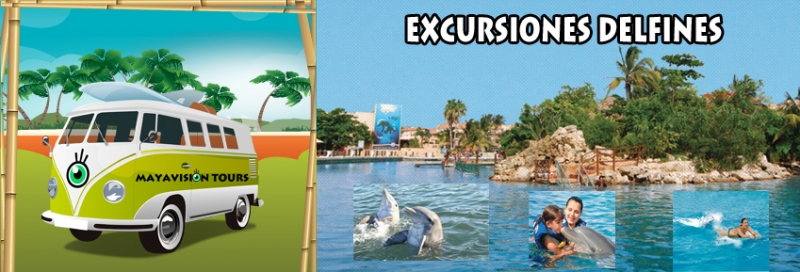 Excursiones Riviera Maya Nado con Delfines