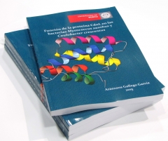 Tesis doctoral tapa blanda