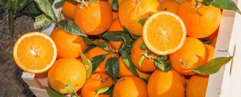 Naranjas online directas del campo