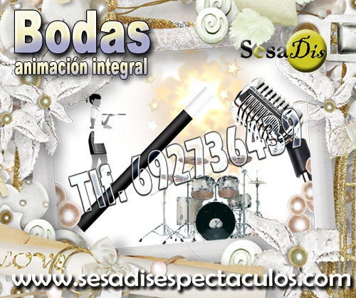 animacion de bodas