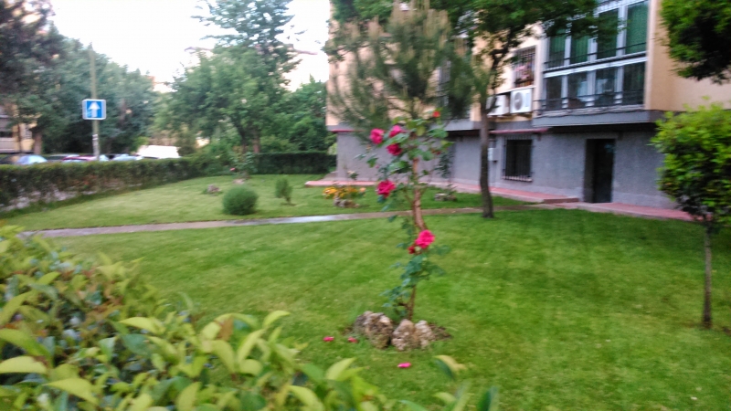 Este es uno de los jardines de Aluche de los que llevamos integramente el mantenimiento del mismo