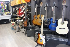 Foto 1 guitarras en Toledo - La Tienda de Musica