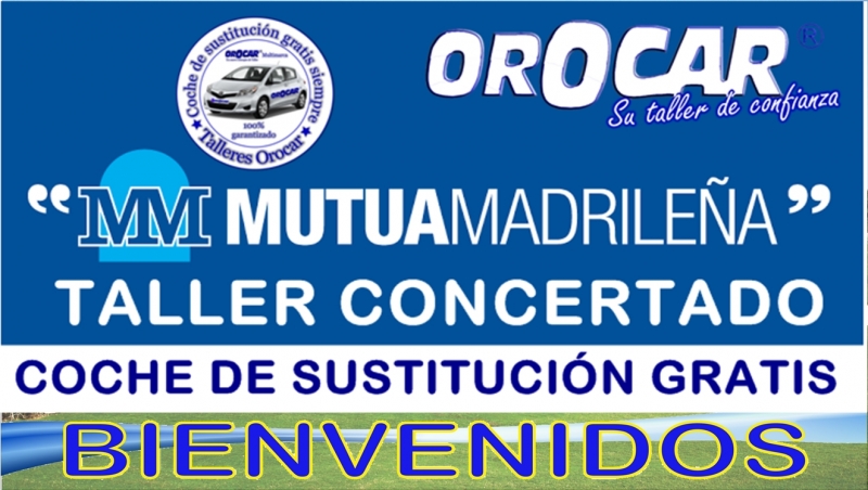 TALLER CONCERTADO MUTUA MADRILEA