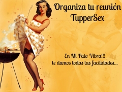 Organiza tu reunión Tuppersex en Bilbao