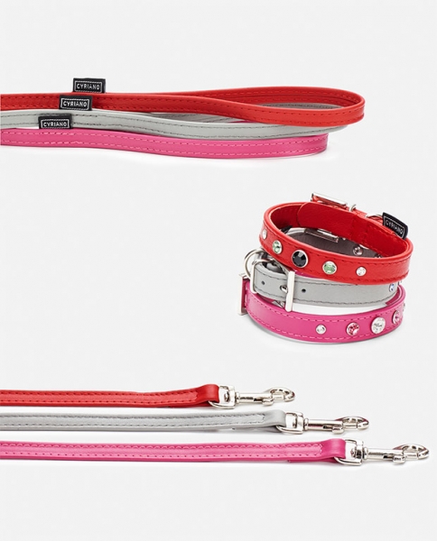 Correas y collares para perros con Swarovski