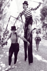 Zancudos y malabares