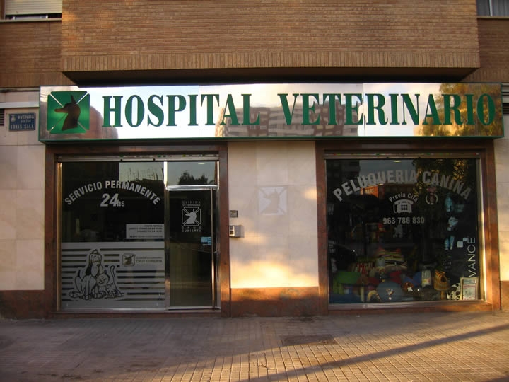 Hospital veterinario Cruz Cubierta en Valencia