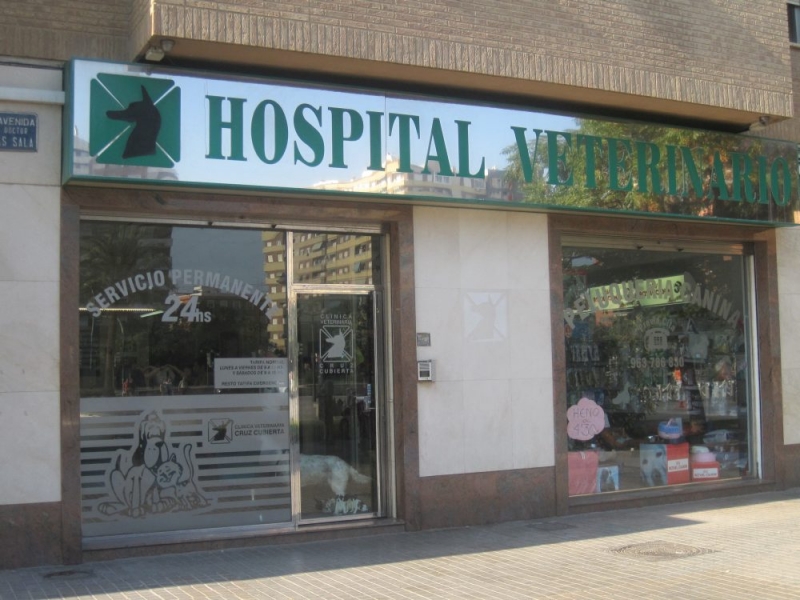 Hospital veterinario Cruz Cubierta en Valencia