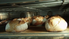 Hornos refractarios para panaderias cobamaq