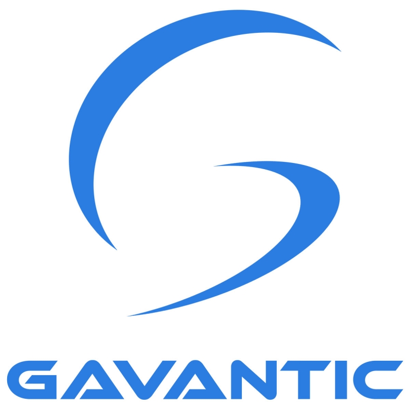 Nuevo logotipo Gavantic