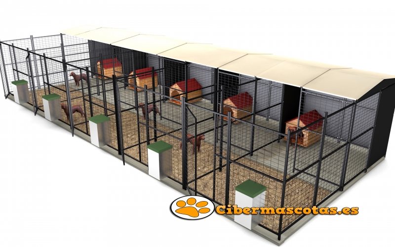 Baterias de 5 boxes para perros con parque