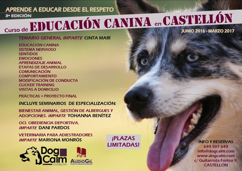 Curso EDUCACIN CANINA