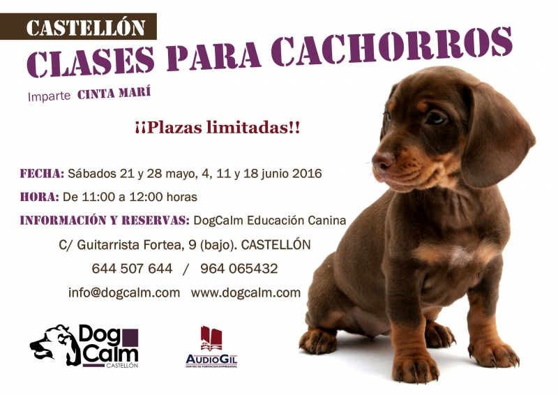 Clases para cachorros