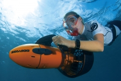 Distribuidor y punto de venta oficial de iwatboard en vizcaya modelo iwatsea s8