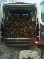 Venta de Leña en Valencia - Castellón