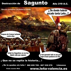 Venta de Leña en Valencia - Castellón
