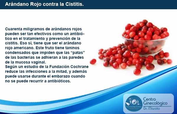 Arndano rojo contra la cistitis.