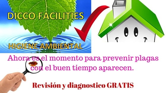 eliminar cucarachas, ratones, chinches, pez plata diccofacilities castellon