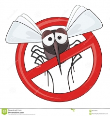 Prevención, eliminar mosquitos Vinaros diccofacilities control de plagas