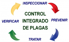 Control integrado de plagas castellon, vinaros diccofacilities control de plagas