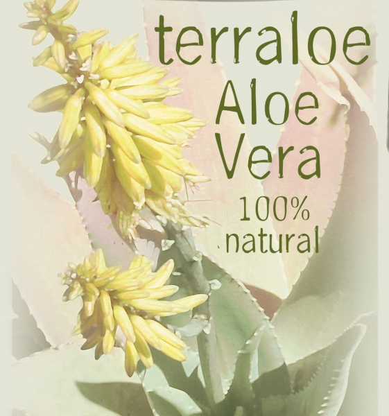 Terraloe