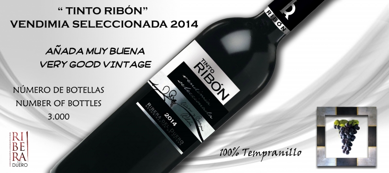 VIÑEDOS Y BODEGAS RIBON, S.L