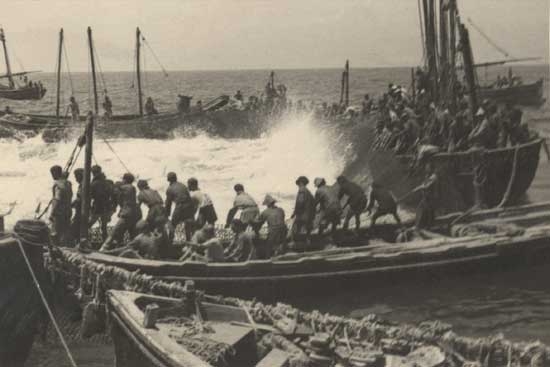 antigua pesca almadraba