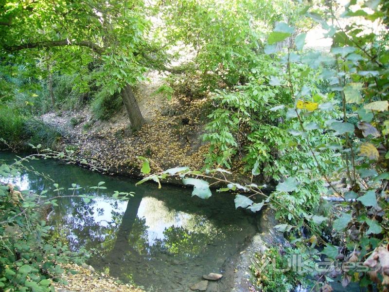 Arroyo junto a las casas 