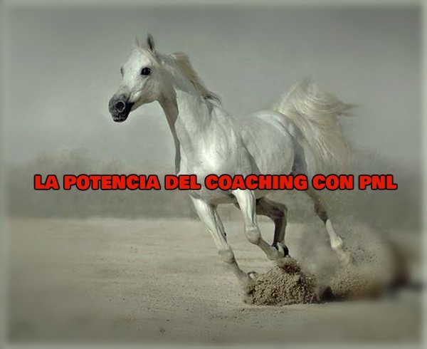 Coaching con PNL. Sesiones y Formacin