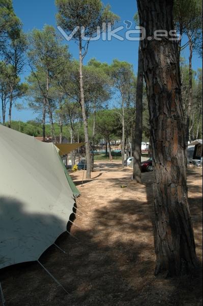 Tenda de lloguer DE WAARD