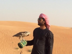 Amigo arabe, safari por el desierto - excursiones con gua en espaol