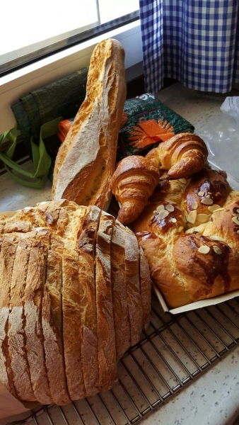 Hornos de Panadería. Delicias!! Hornos cobaMaq.