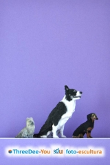 Inmortaliza tu mascota - figuras 3d de animales - threedee-you foto-escultura 3d-u