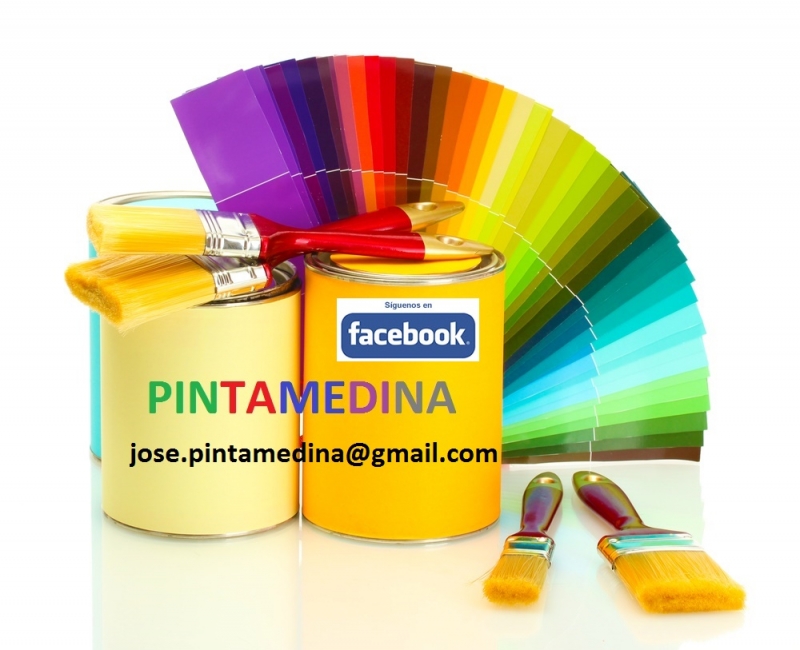 PINTORES PINTAMEDINA