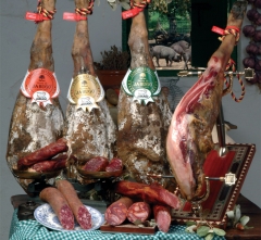 Jamon de bellota
