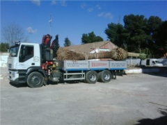 Transporte y carga con grua  de palmera de 9 metros de viveros centre vert