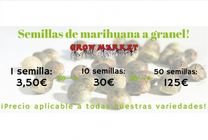 Comprar semillas marihuana a granel, baratas y de calidad.