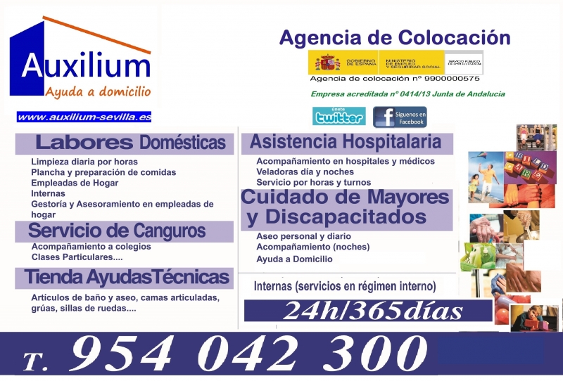 Servicios Auxilium